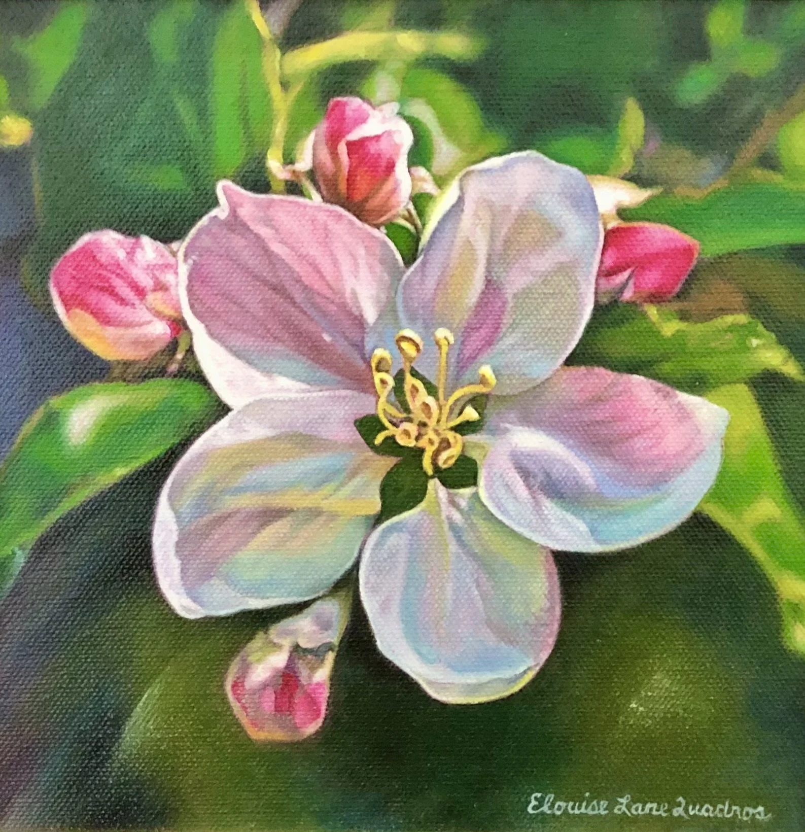 "Pink Apple Blossom" original oil 8"x8" $425.00-SOLD
