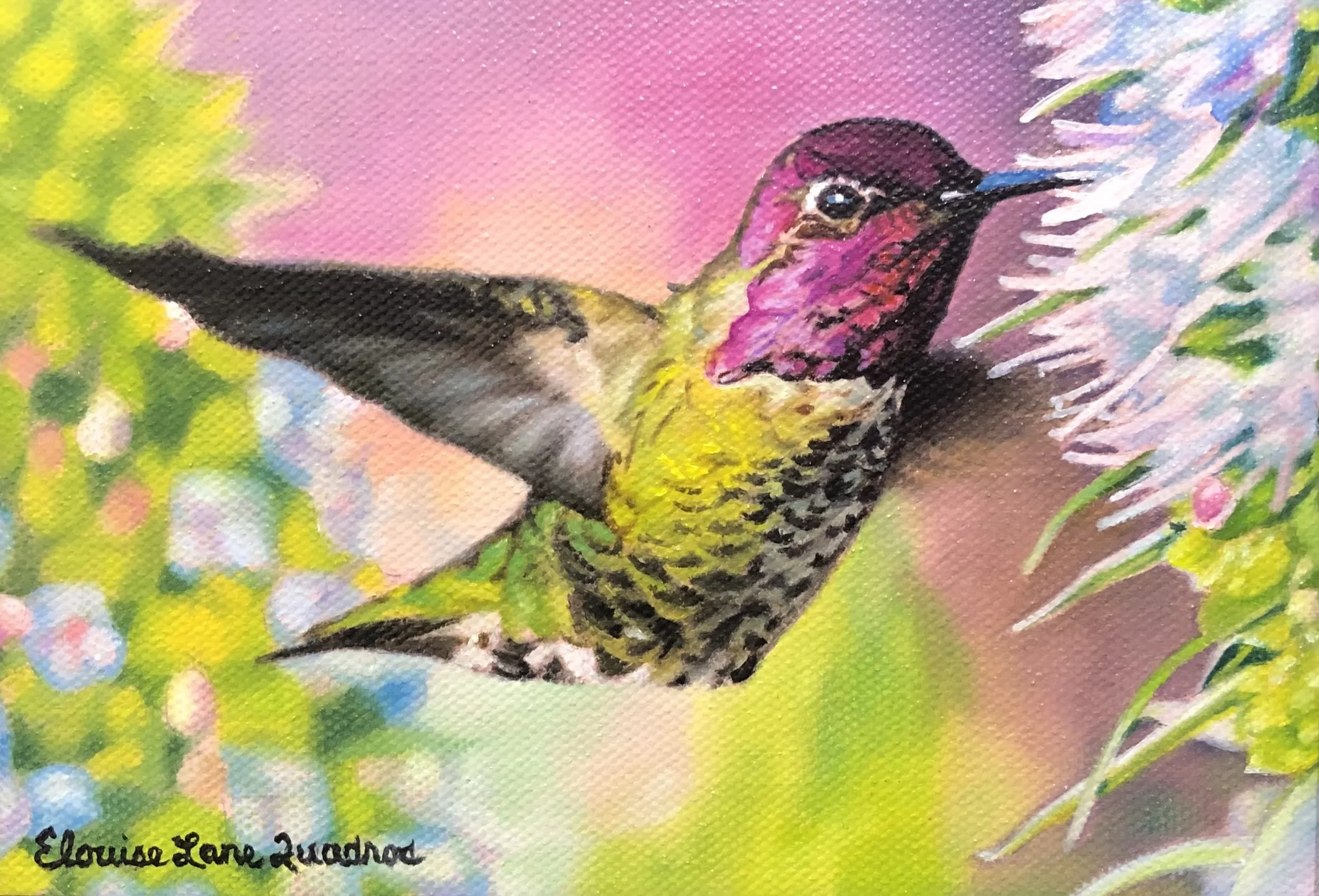 "Anna Hummingbird" original oil 5"x7"-SOLD