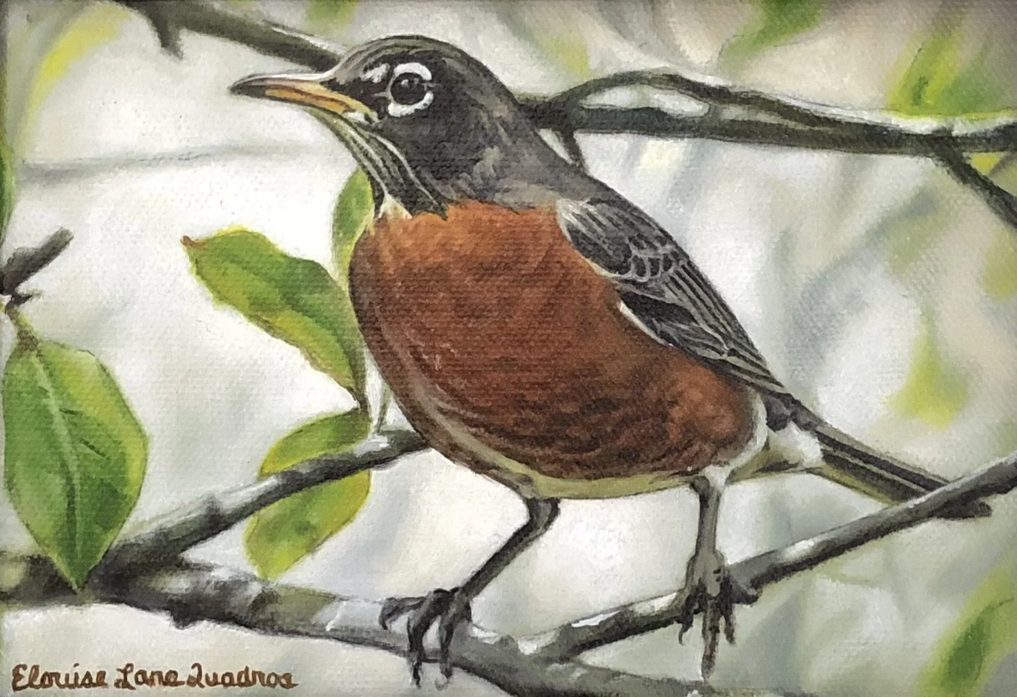 "Robin" original oil 5"x7"-SOLD
