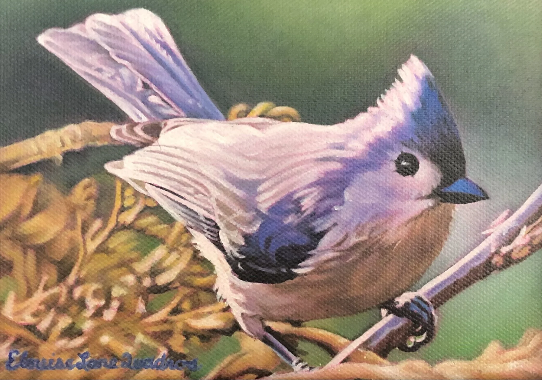 "Tufted Titmouse" original oil 5"x7" $350.00-SOLD