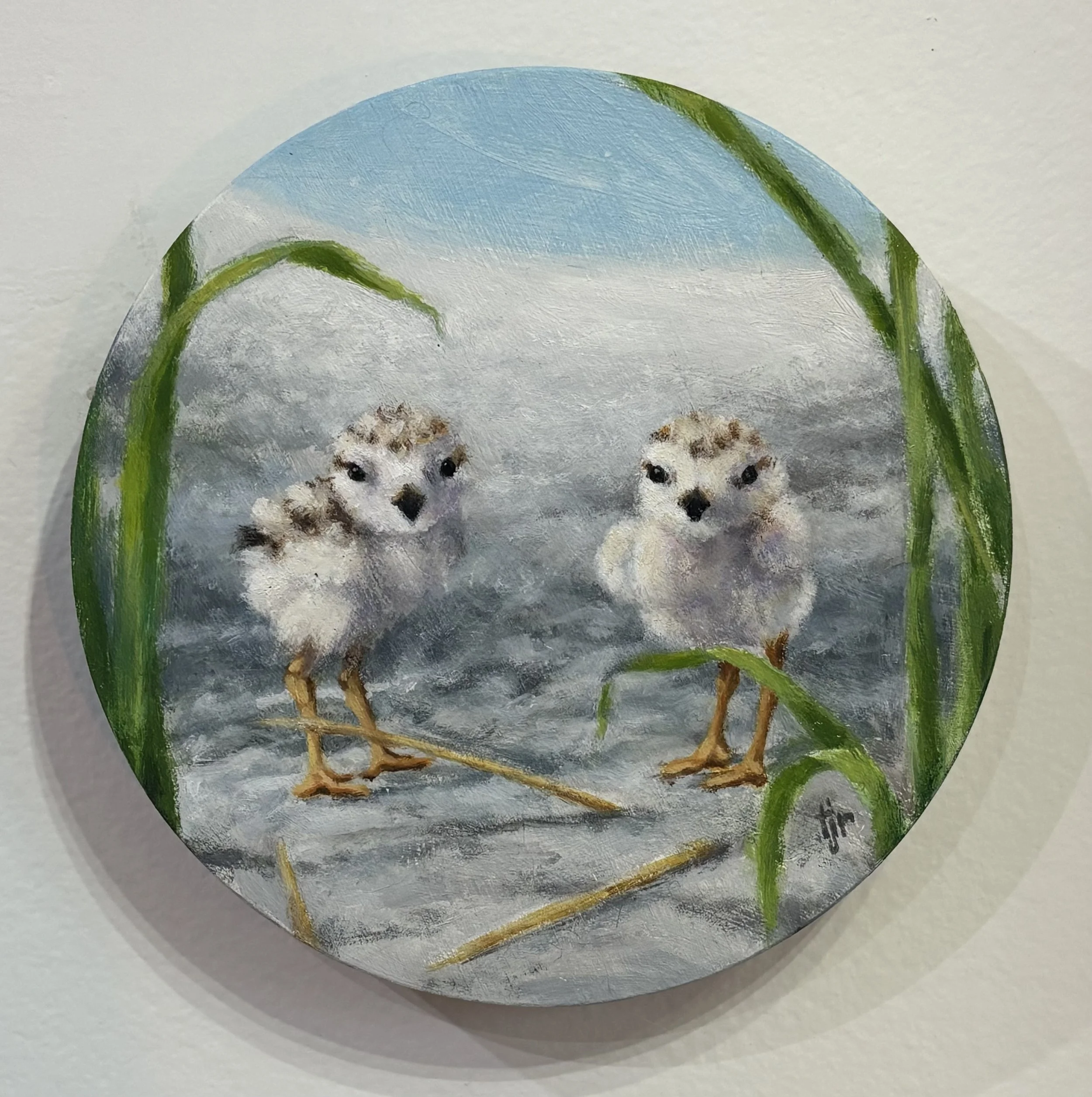 "Plover in the Round" original oil, 6" round, $450.00