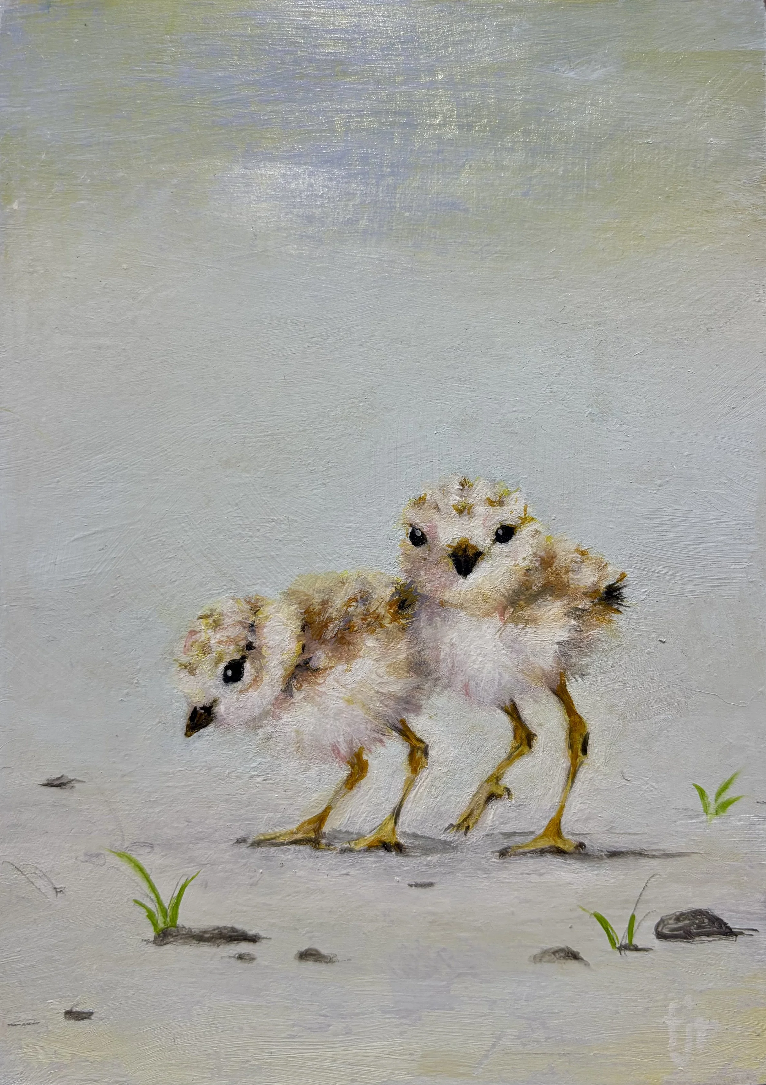 "Two Chicks" original oil, 5"x7", $400.00-SOLD