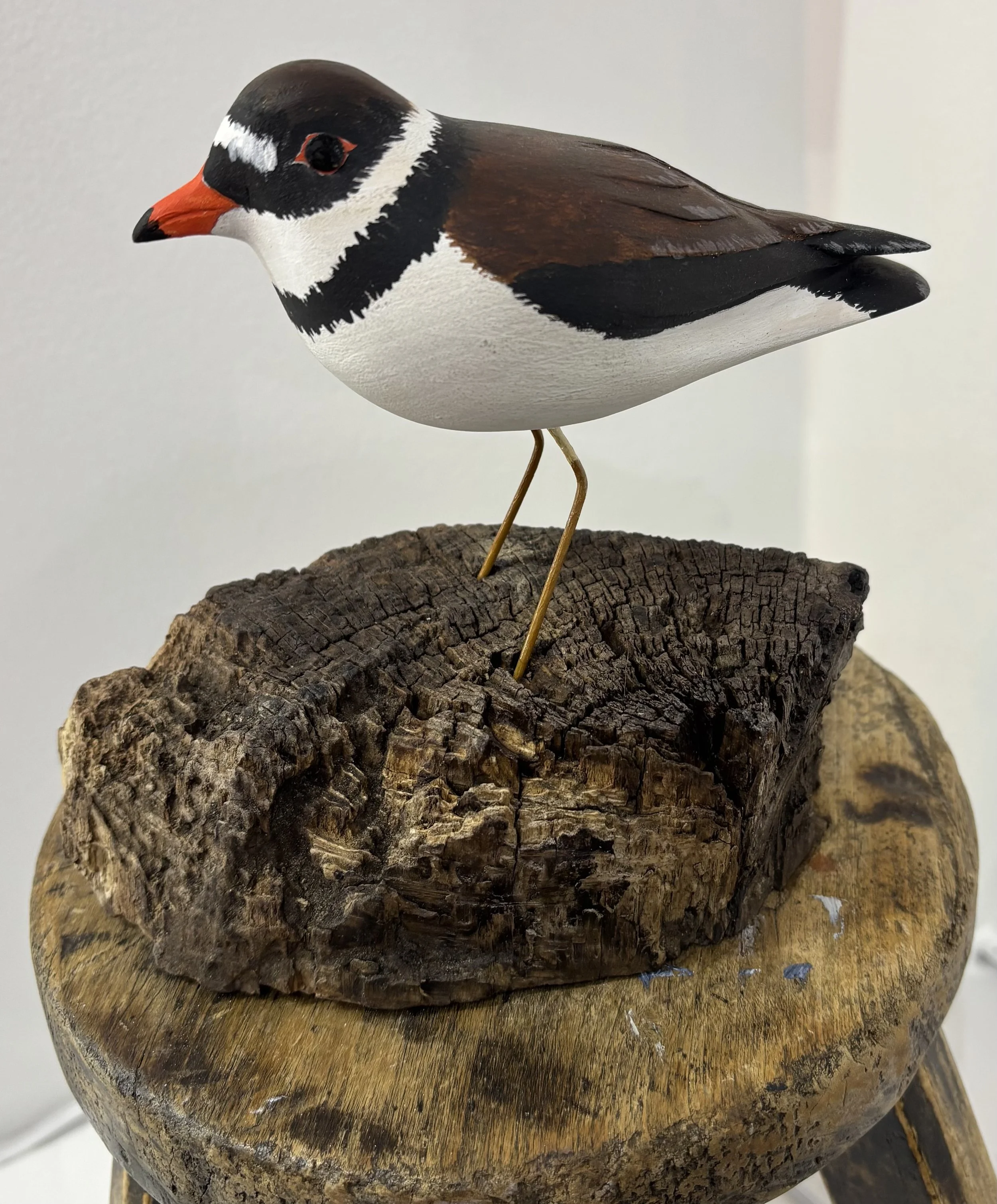 "Plover" original wood carving, 7" (L) x 4" (W) x 7" (H), $275