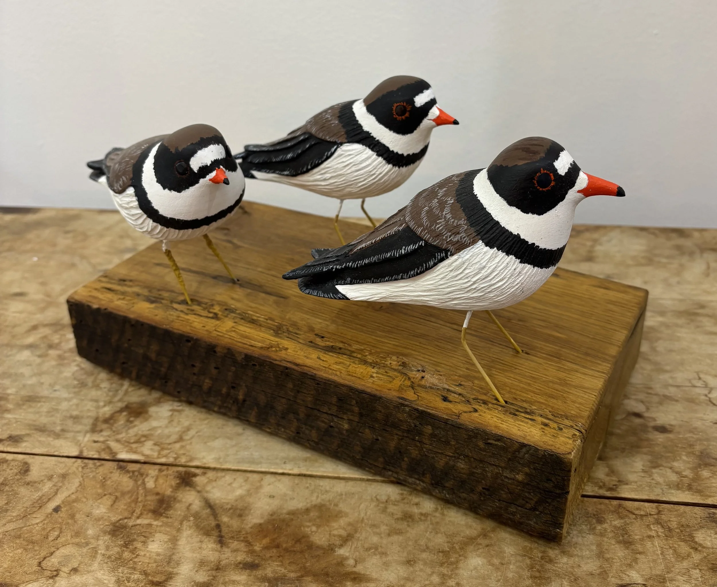 "Plover Family", original wood carving, 11.5"(L)6"(W)x7"(H), $400.00