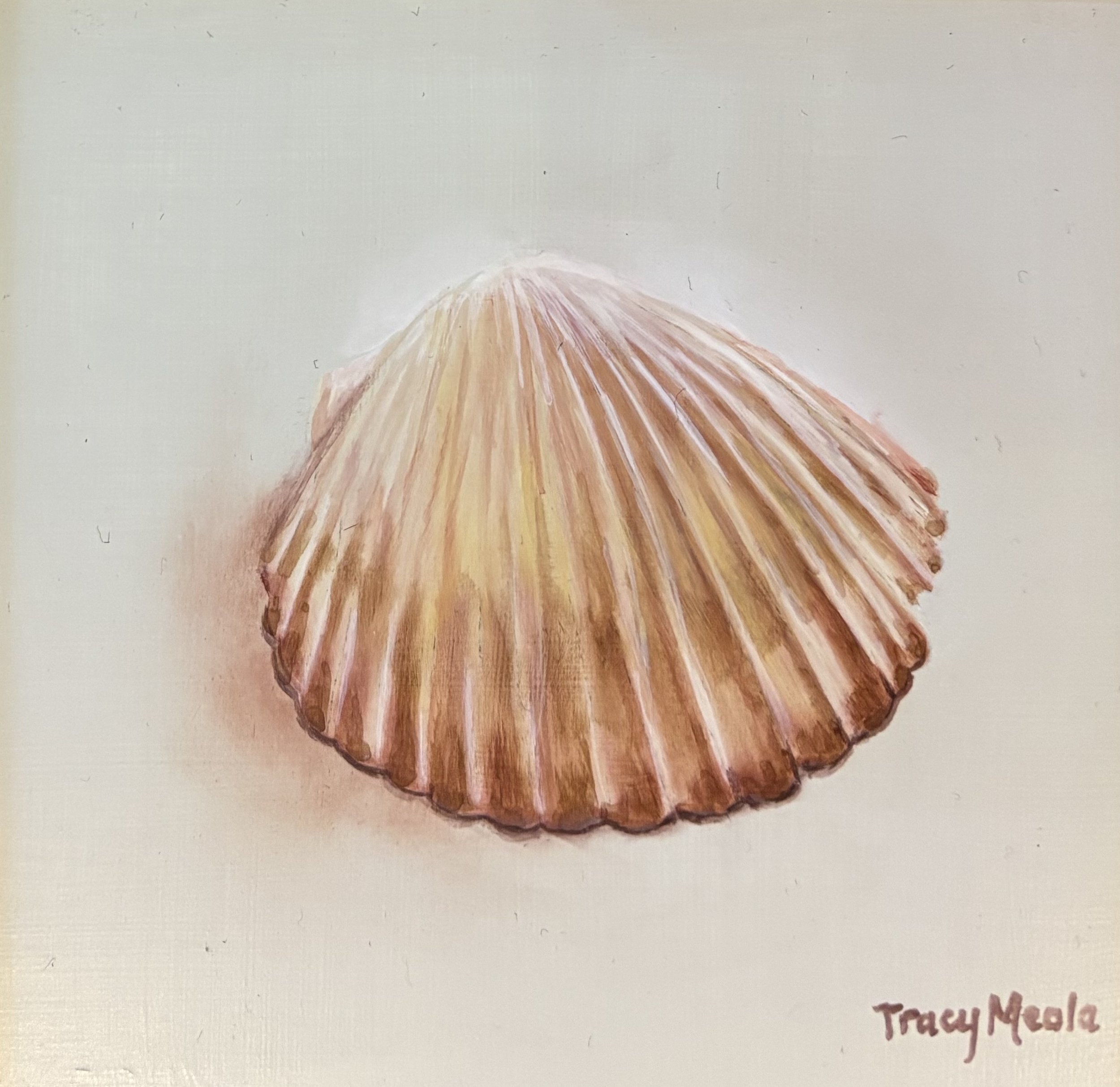"Cinnamon Shell" original oil, 6"x6", $200.00