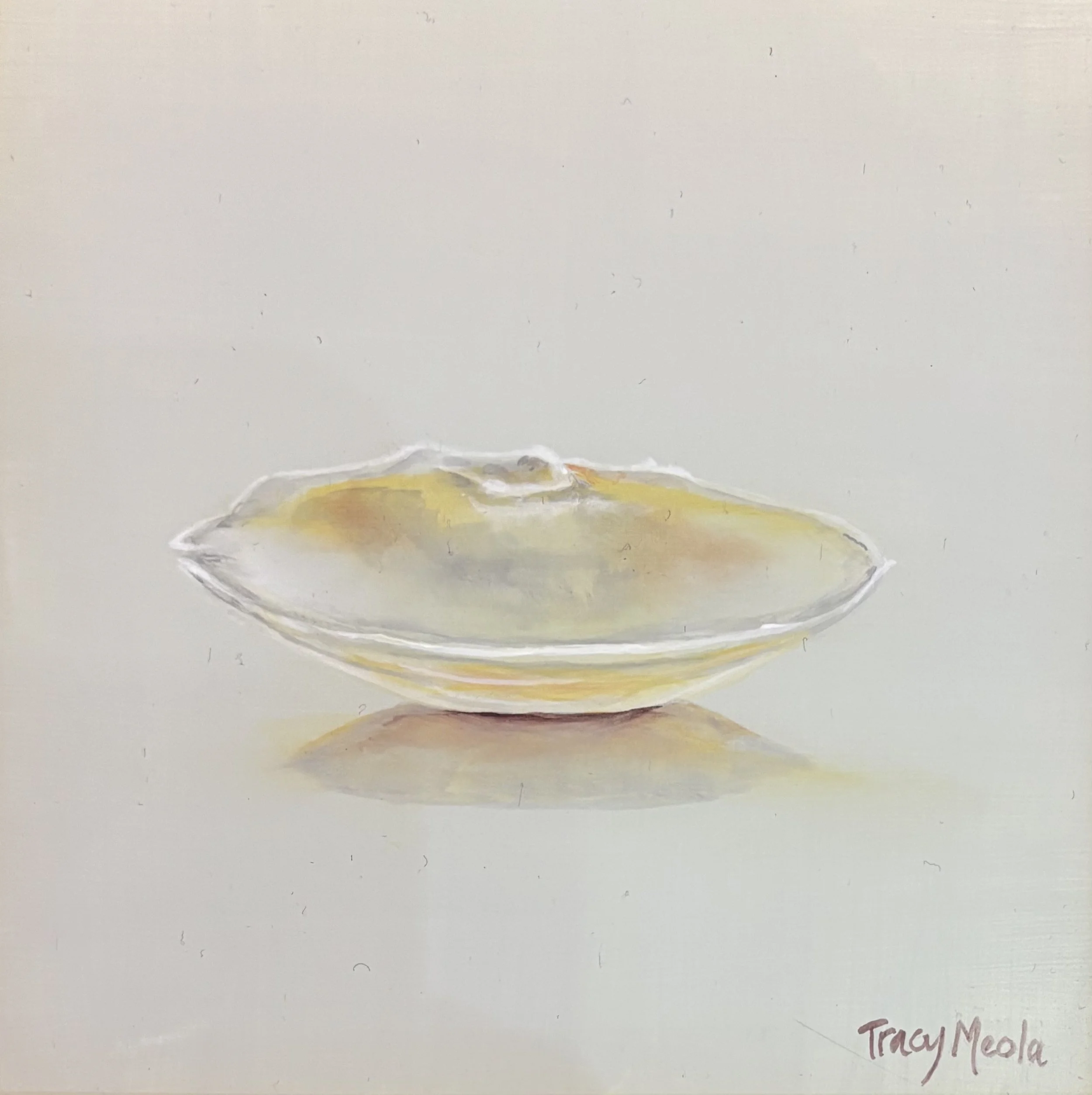"Ivory Shell" original oil, 6"x6", $200.00