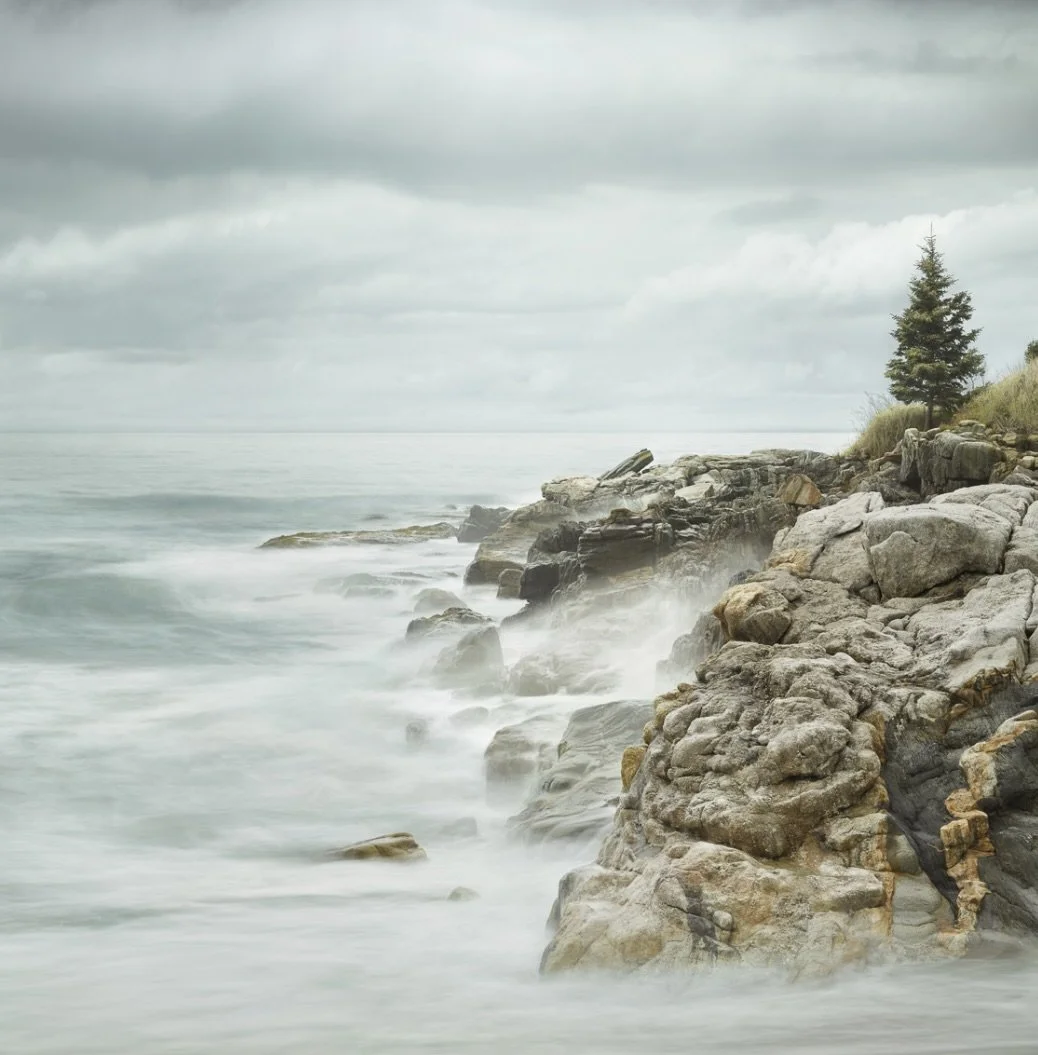 "Maine Coastline 1" contact gallery for sizes and prices