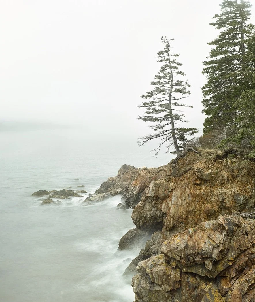 "Outcrop at Owls Head" contact gallery for sizes and prices