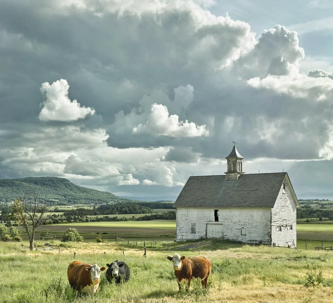 "Waltham Farm" contact gallery for sizes and prices