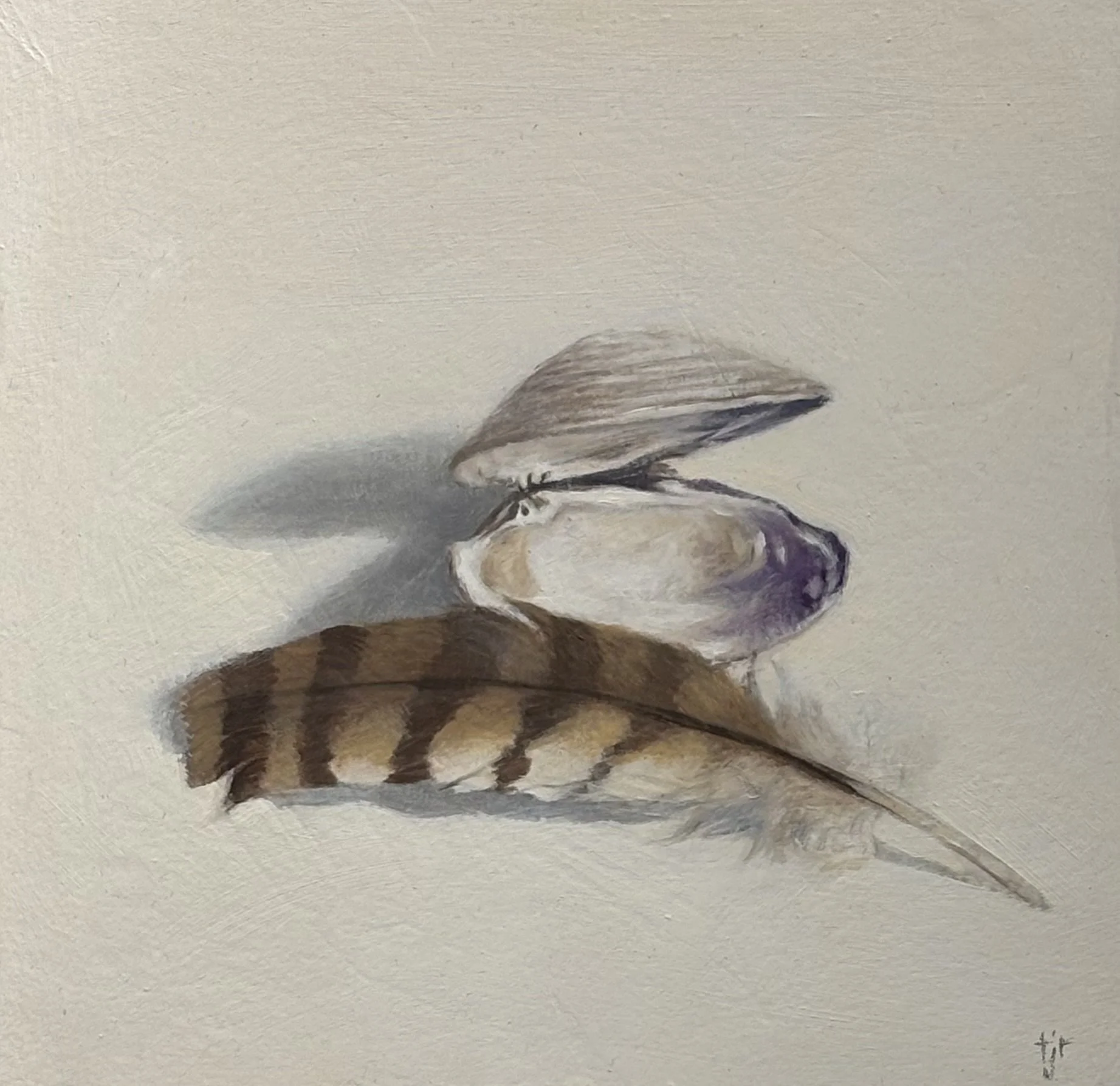"Feather and Clam Shell", original oil, 8"x8", $450.00