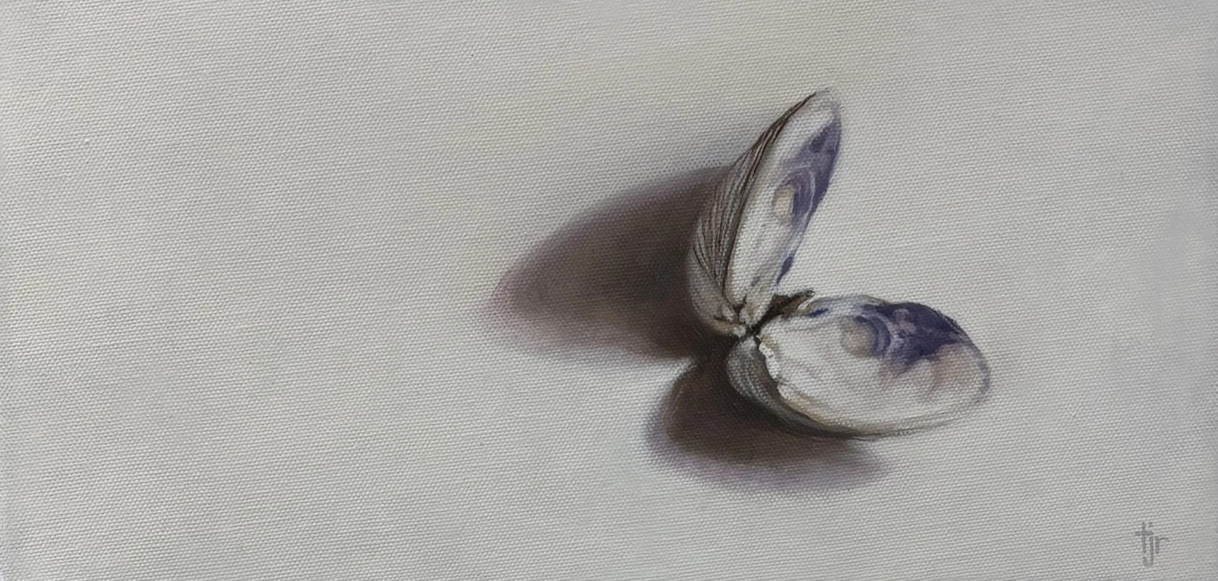 "Quahog Shell", original oil, 14"x7", $325.00
