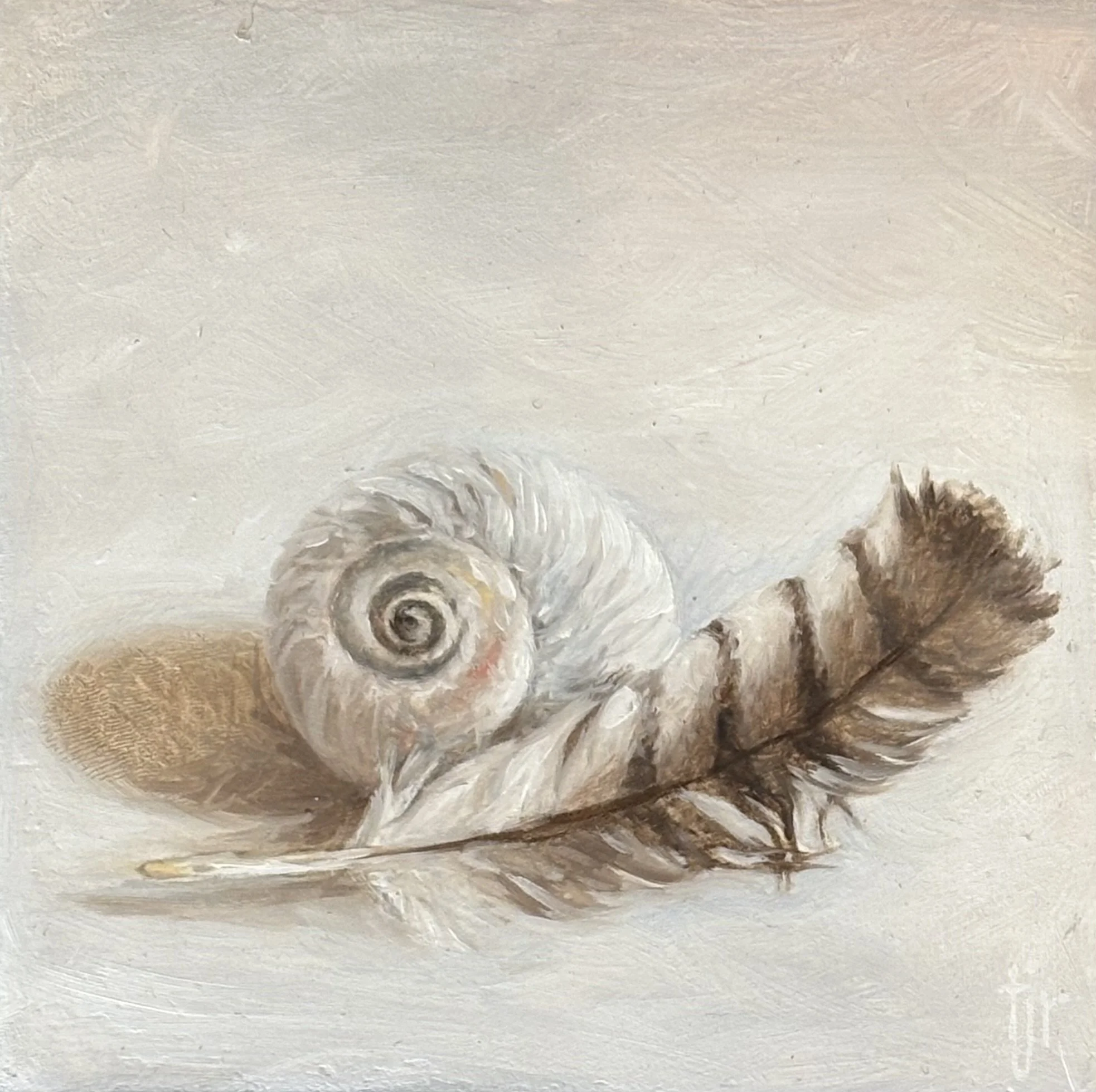 "Feather and Shell", original oil, 4"x4", $295.00