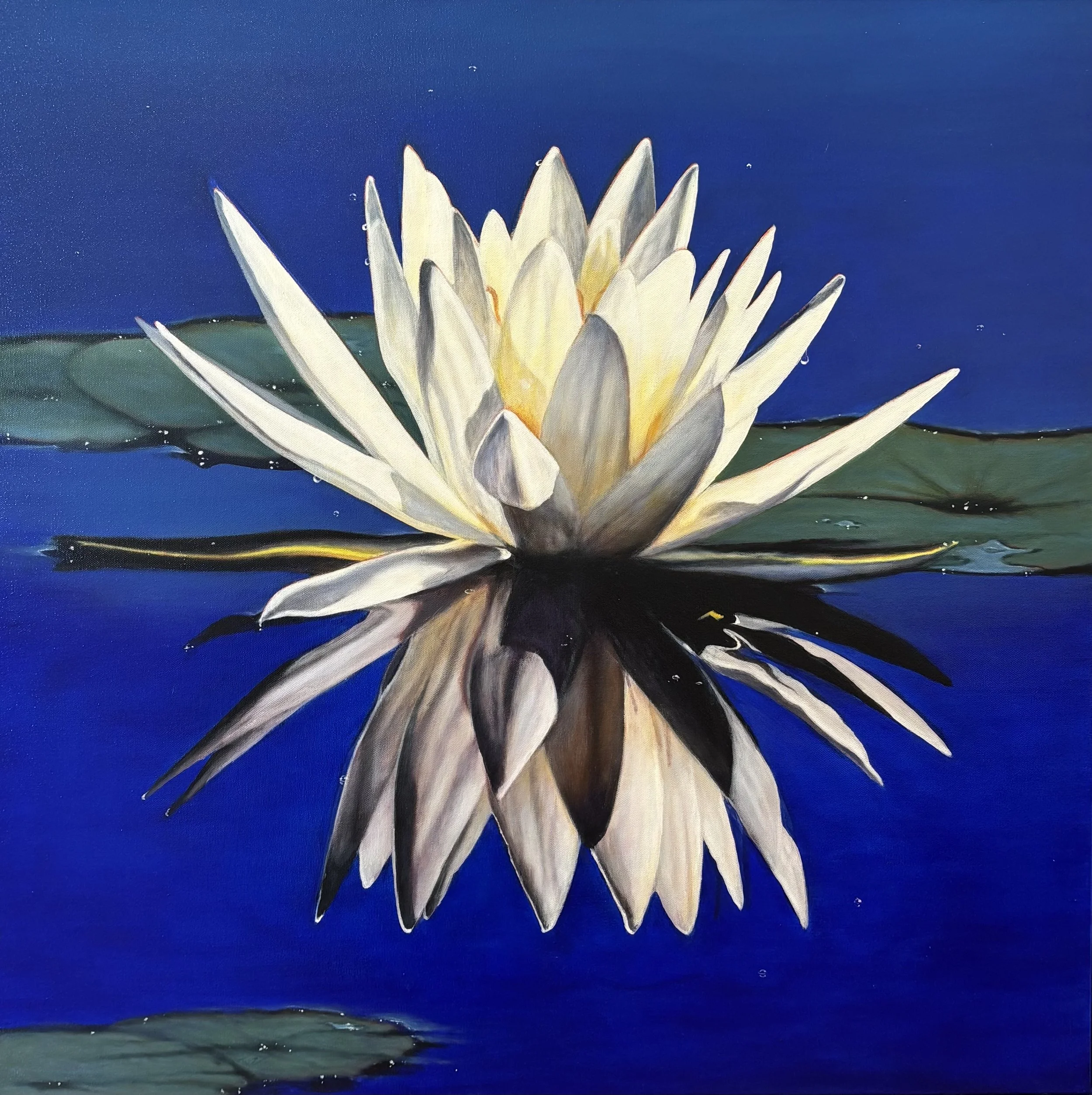 "Waterlily" original oil, 36"x36", $6000.00