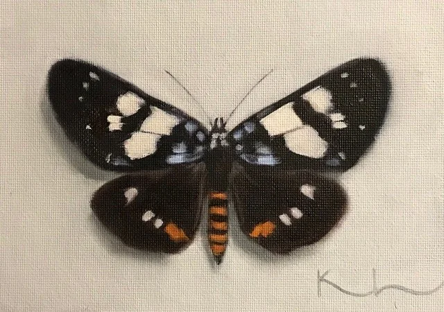 "Tiger Day Flying Moth" original oil, 5" x 7", $300.00