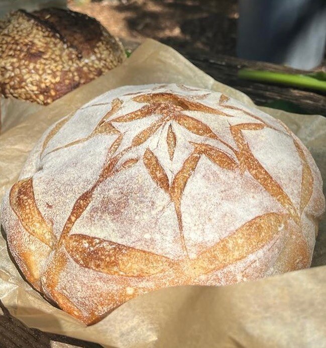 I am teaching a &lsquo;Sourdough Basics&rsquo; class, Sunday, November 5th 9:30a-1:30pm at Earth N&rsquo; Us Farm. You will learn to make sourdough bread from scratch: milling your own grains, maintaining a healthy Mother, professional shaping &amp; 