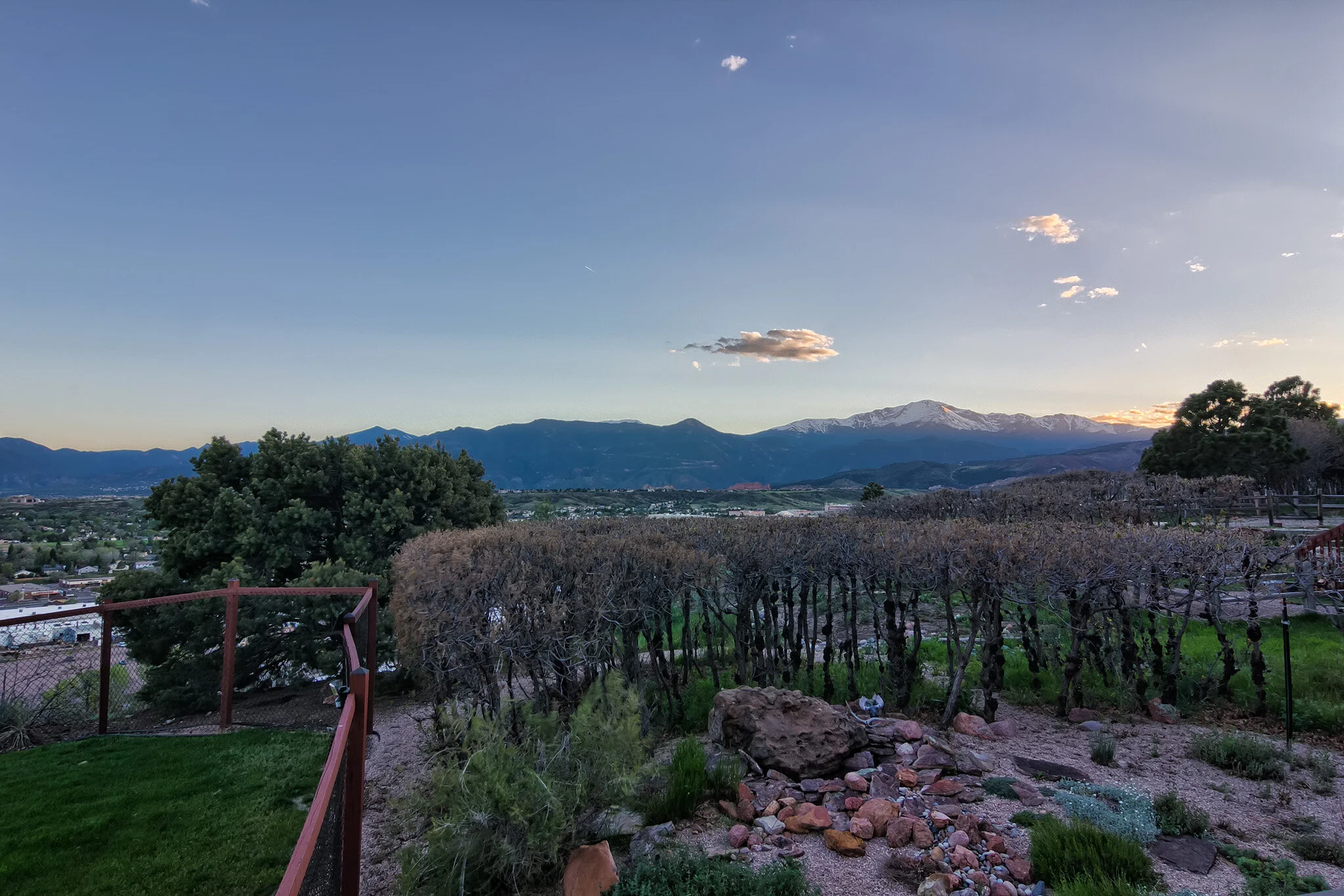 Nightshade_0273-HDR(7).jpg