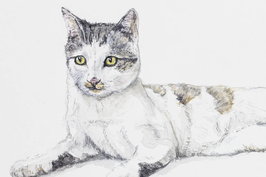 F5DC6D8A-4AC8-48D9-A090-09A017A65E18