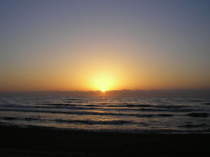 New Horizon