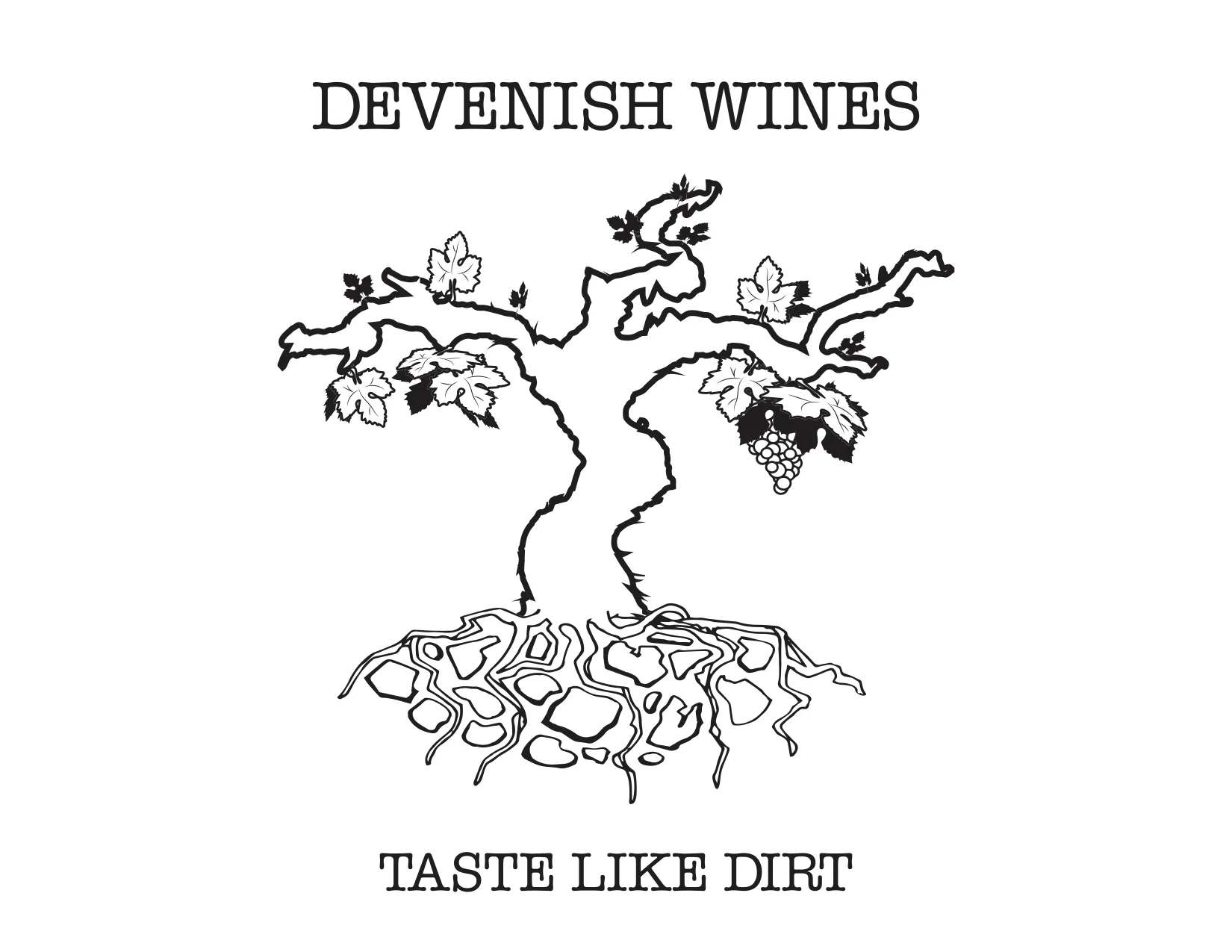DevenishLogo (1).jpg