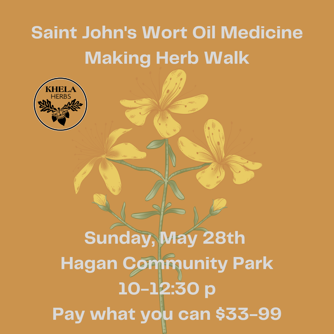 Saint John's Wort Herb Walk