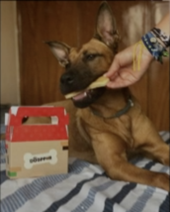 Captura de pantalla 2019-03-21 a las 12.39.50.png