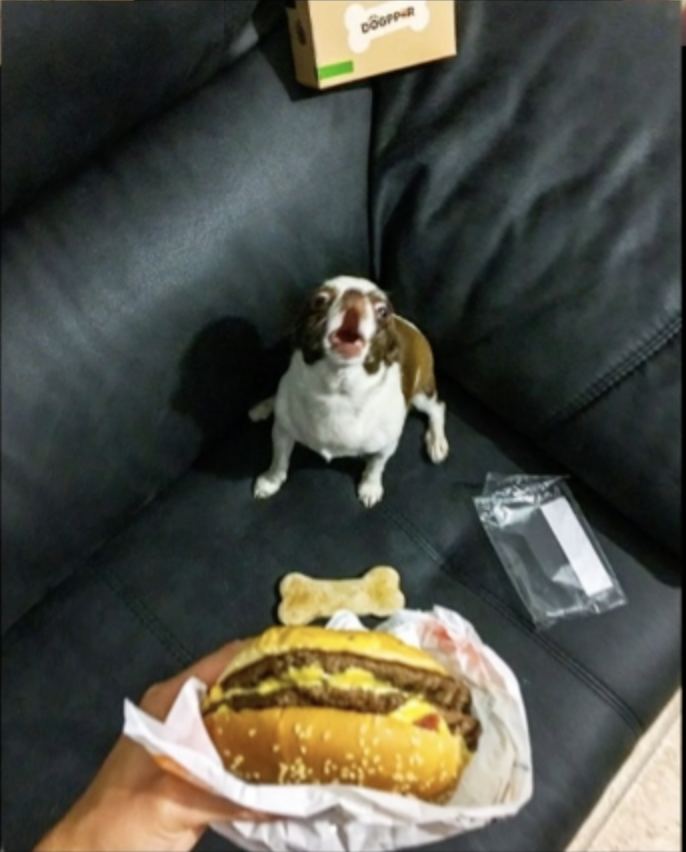 Captura de pantalla 2019-03-21 a las 12.37.36.png