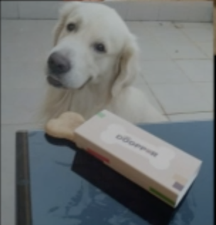 Captura de pantalla 2019-03-21 a las 12.39.30.png