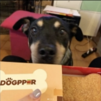 Captura de pantalla 2019-03-21 a las 12.38.04.png