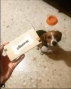 Captura de pantalla 2019-03-21 a las 12.38.47.png