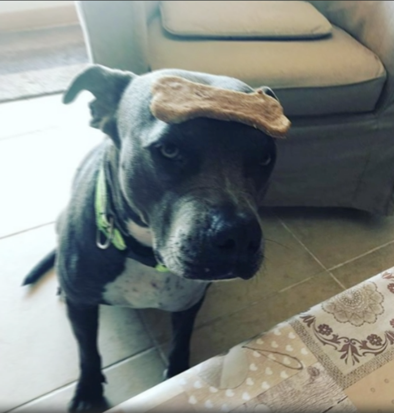 Captura de pantalla 2019-03-21 a las 12.37.06.png