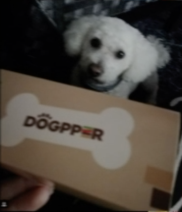 Captura de pantalla 2019-03-21 a las 12.40.09.png