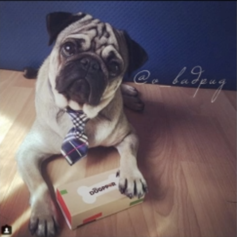 Captura de pantalla 2019-03-21 a las 12.55.25.png