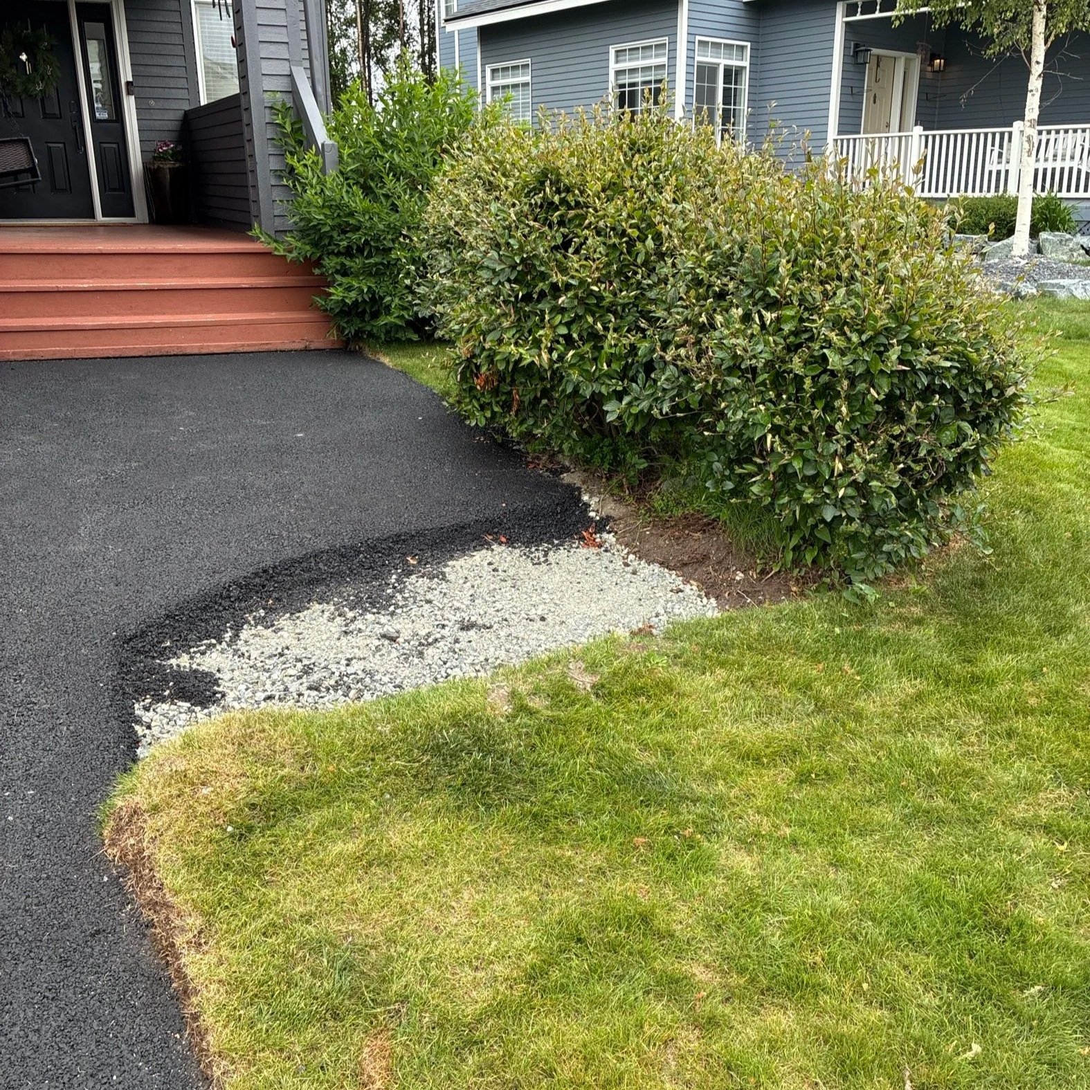 Trevor%27s+Front+Shrub+Before+Photo.jpg