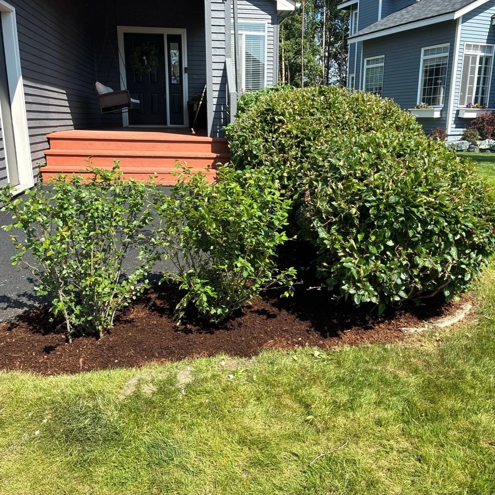 Trevor%27s+Front+Shrub+After+Photo.jpg