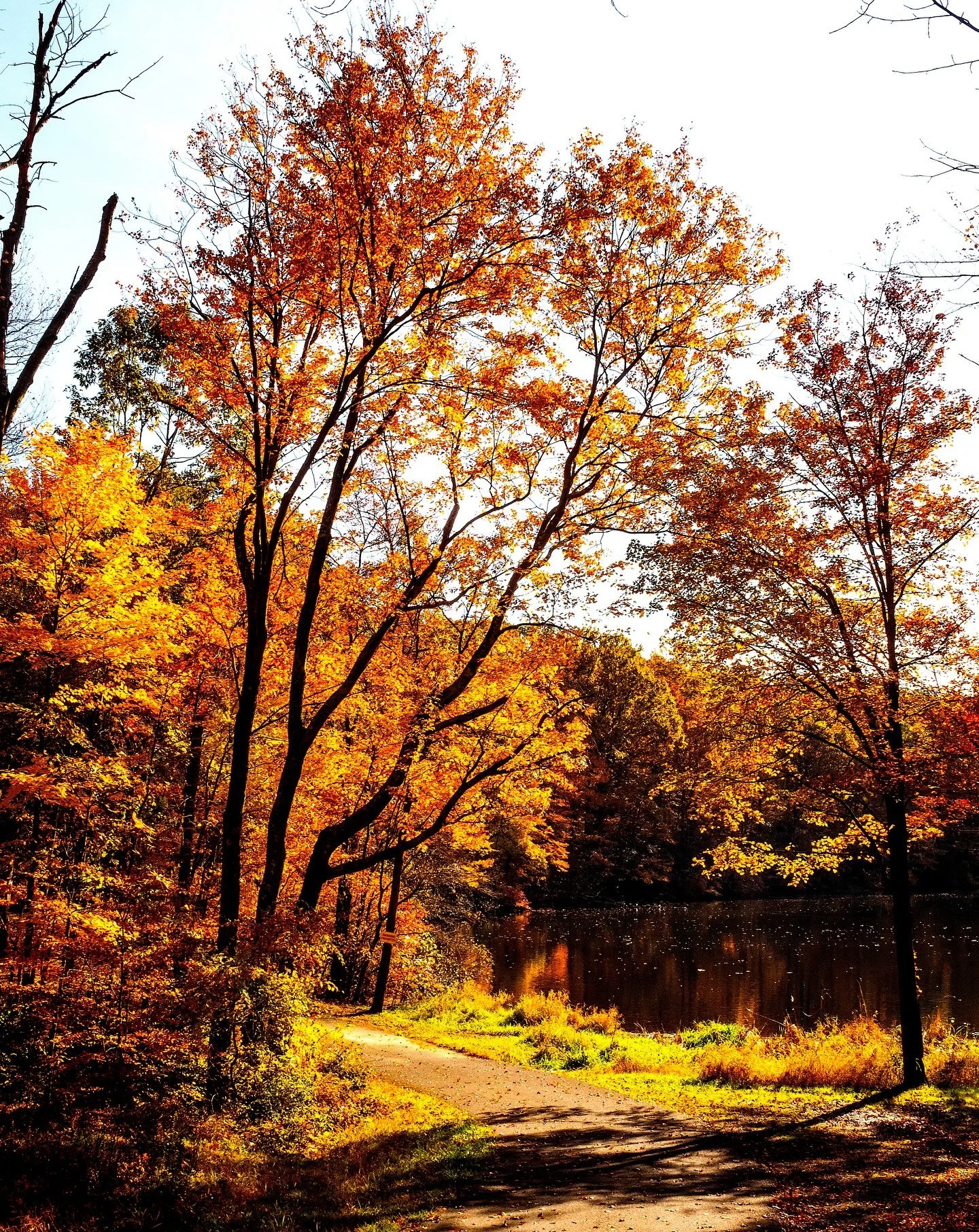 Let&rsquo;s create something magical this Fall 🍂✨

Beginning September 21st, I&rsquo;m beginning Fall Portrait Sessions! These are designed to capture you in this beautiful ever changing season of life. Whether it is a soulful solo shoot or shared m
