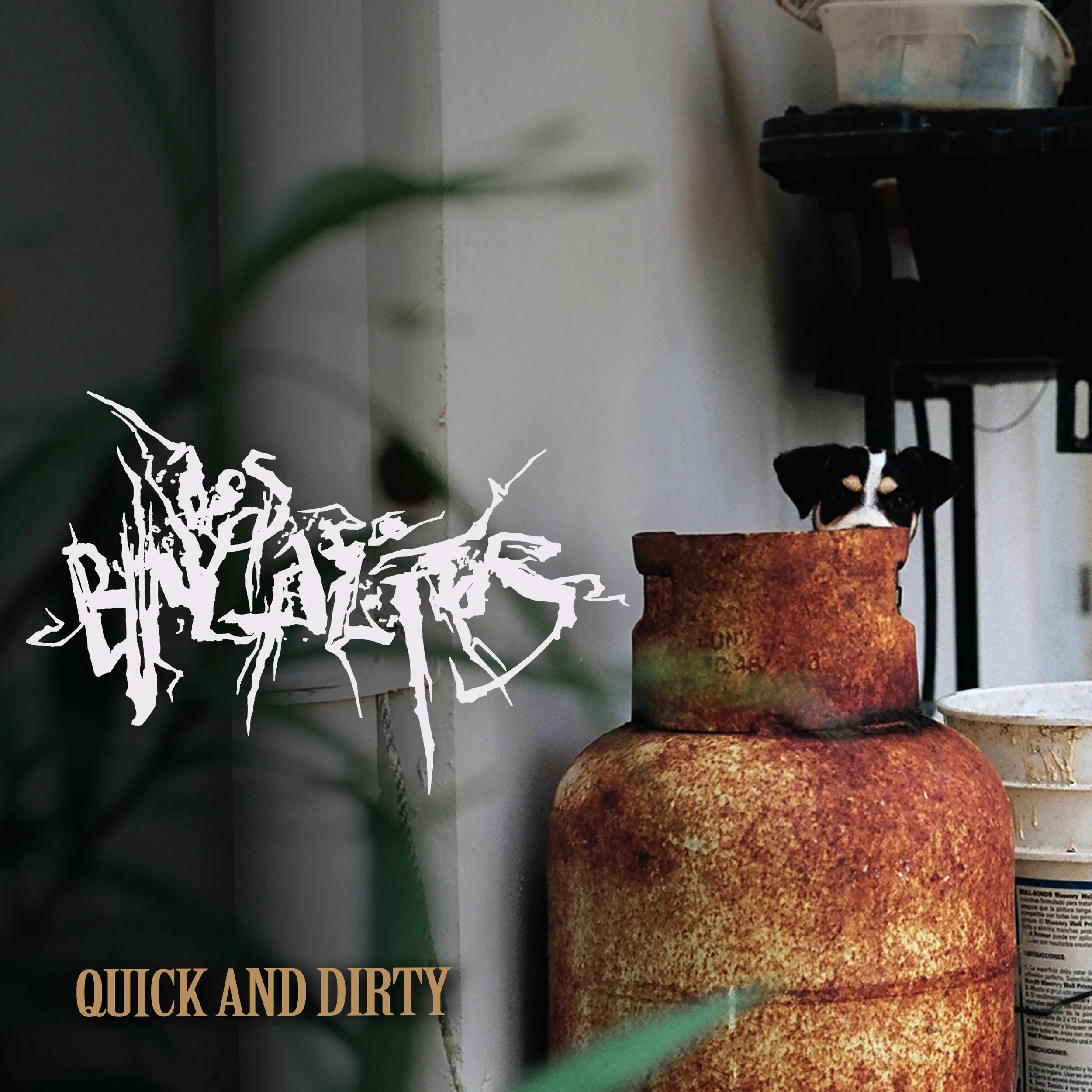 Los Bungalitos Quick and Dirty EP Cover .jpg
