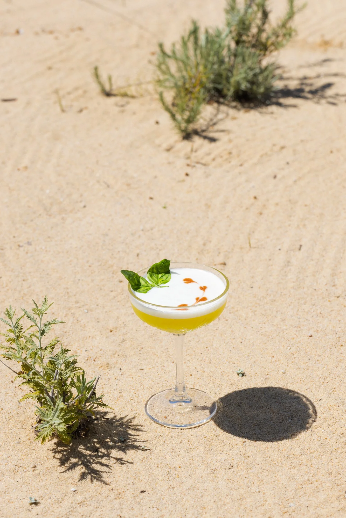 Spatia Comporta_Ora_MM_0082.JPG