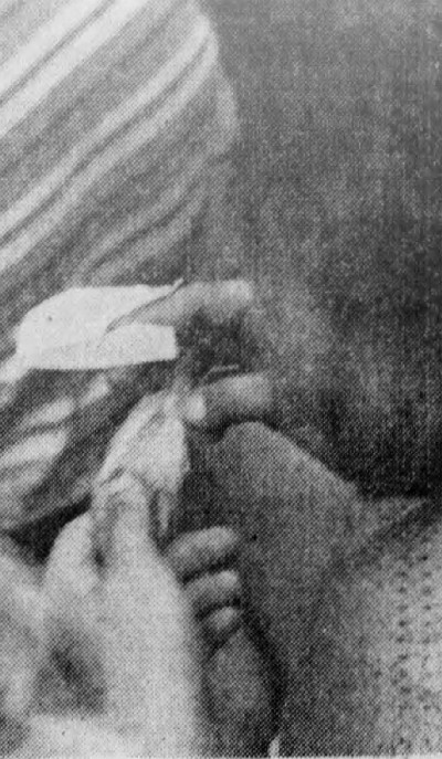 A concertgoer rolls a joint