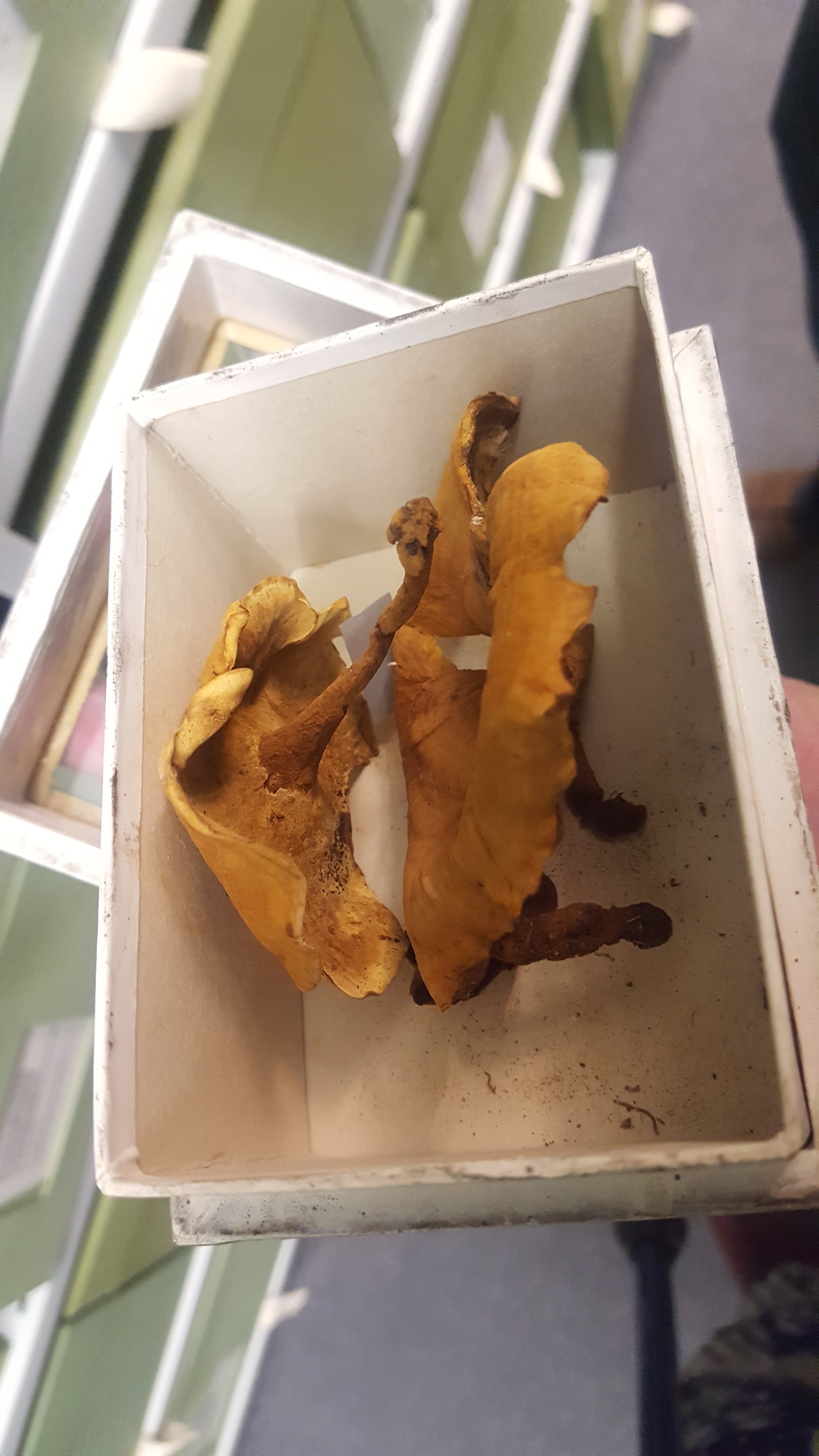 20160820_122415.jpg
