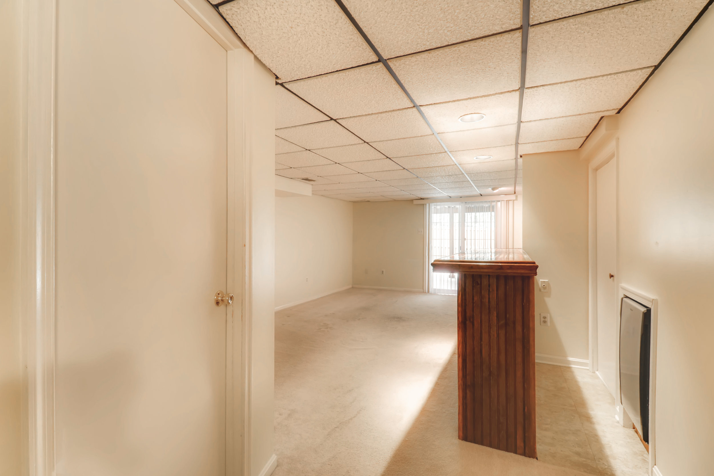 6854 Ducketts Lane Elkridge MD-print-030-23-Lower Level Living Room-3600x2399-300dpi.jpg