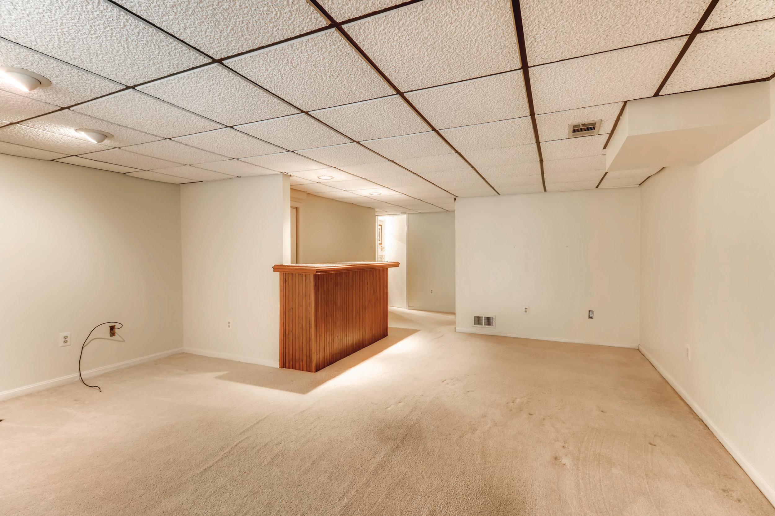 6854 Ducketts Lane Elkridge MD-print-031-24-Lower Level Living Room-3600x2400-300dpi.jpg