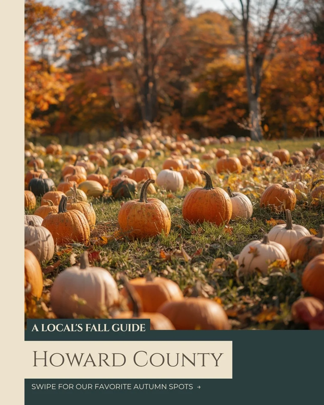 A Local’s Fall Guide to Howard County