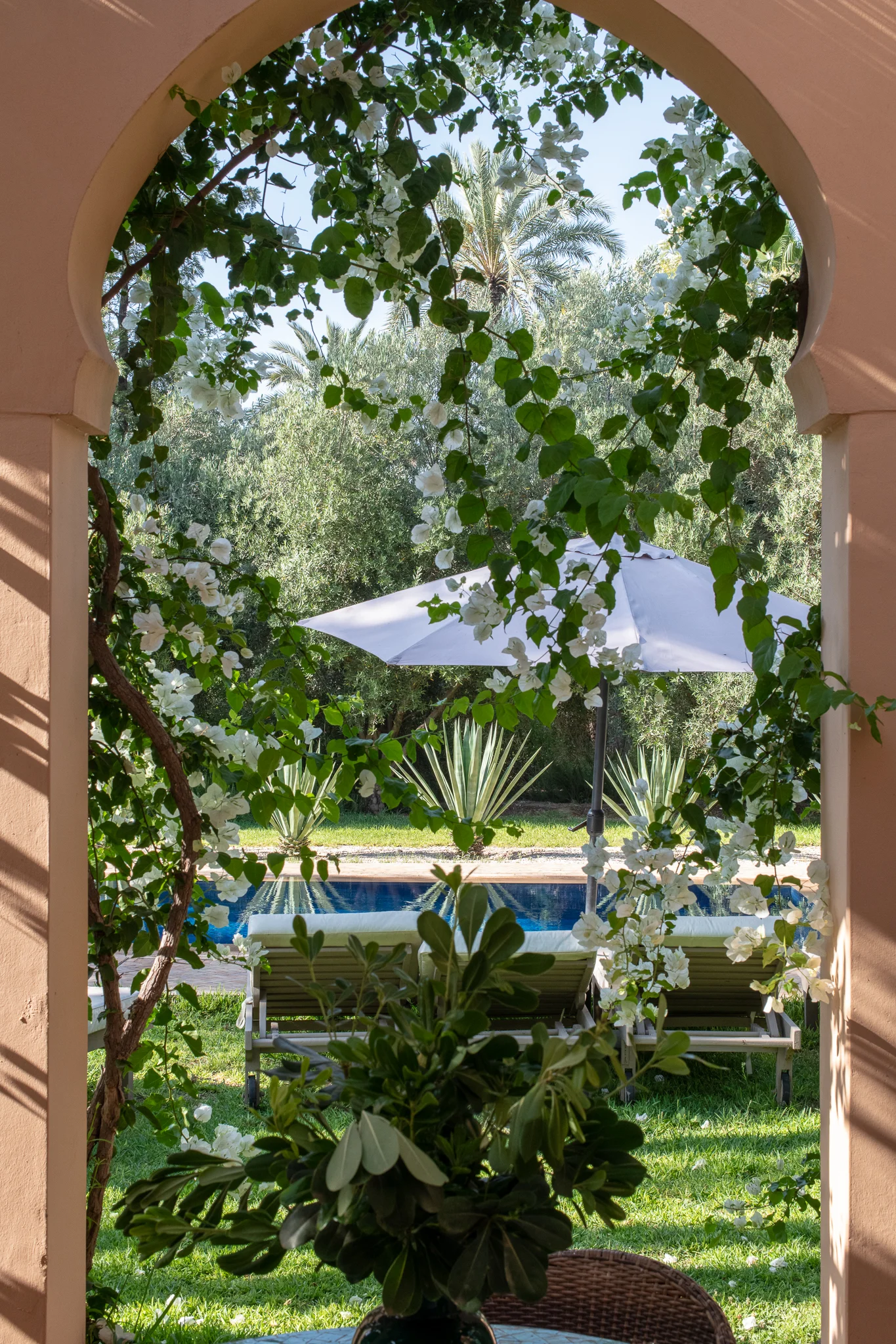 Carey_June 28, 2018_DSC_1439-2.JPG