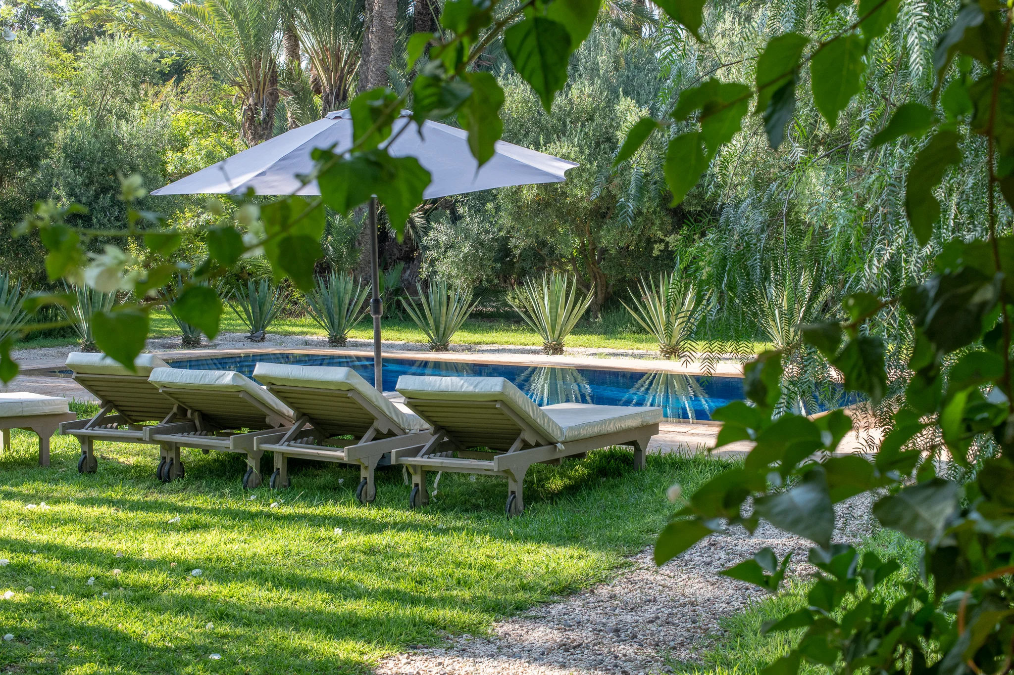 Carey_June 28, 2018_DSC_1441-2.JPG