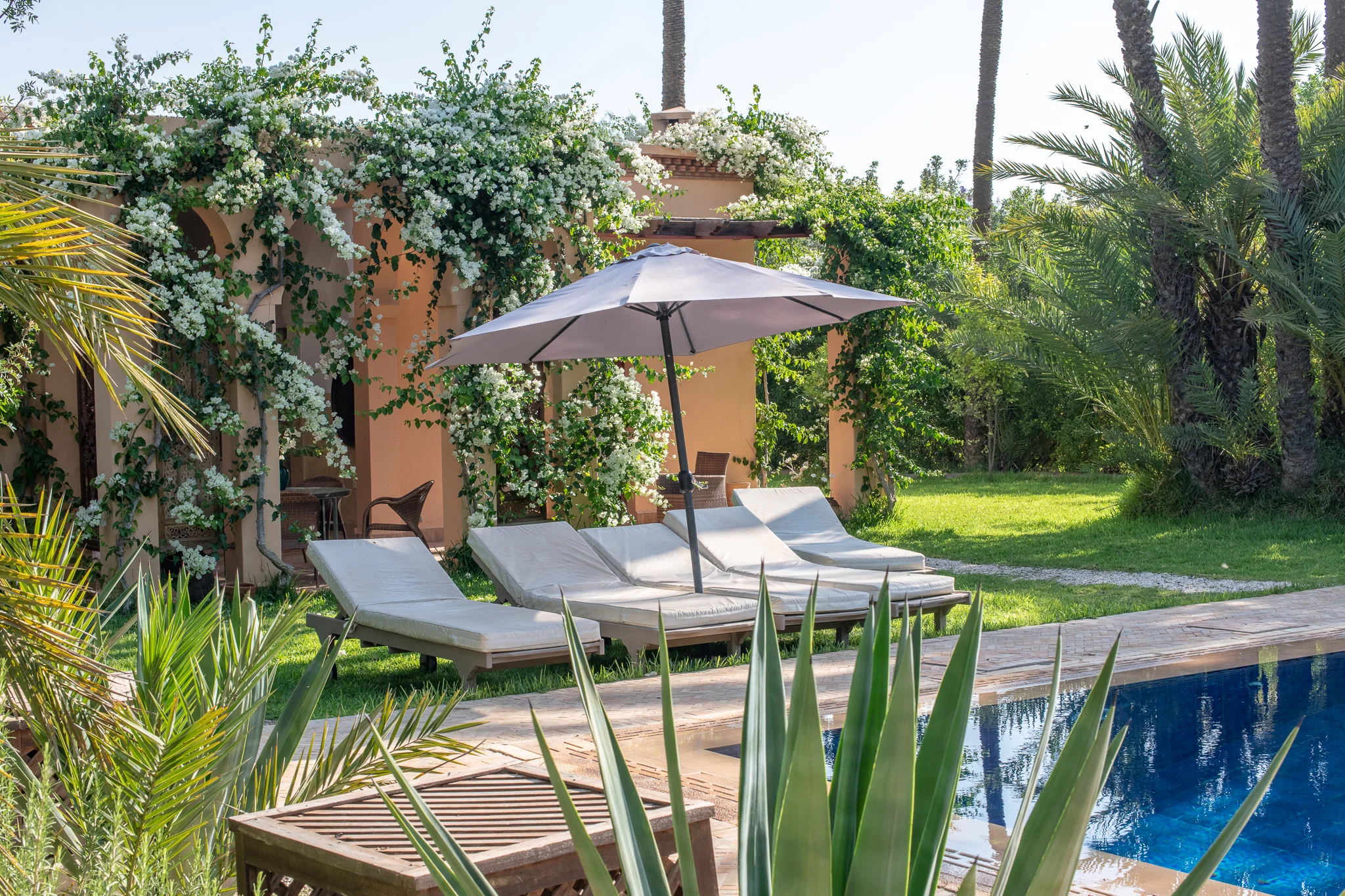 Carey_June 28, 2018_DSC_1442-2.JPG