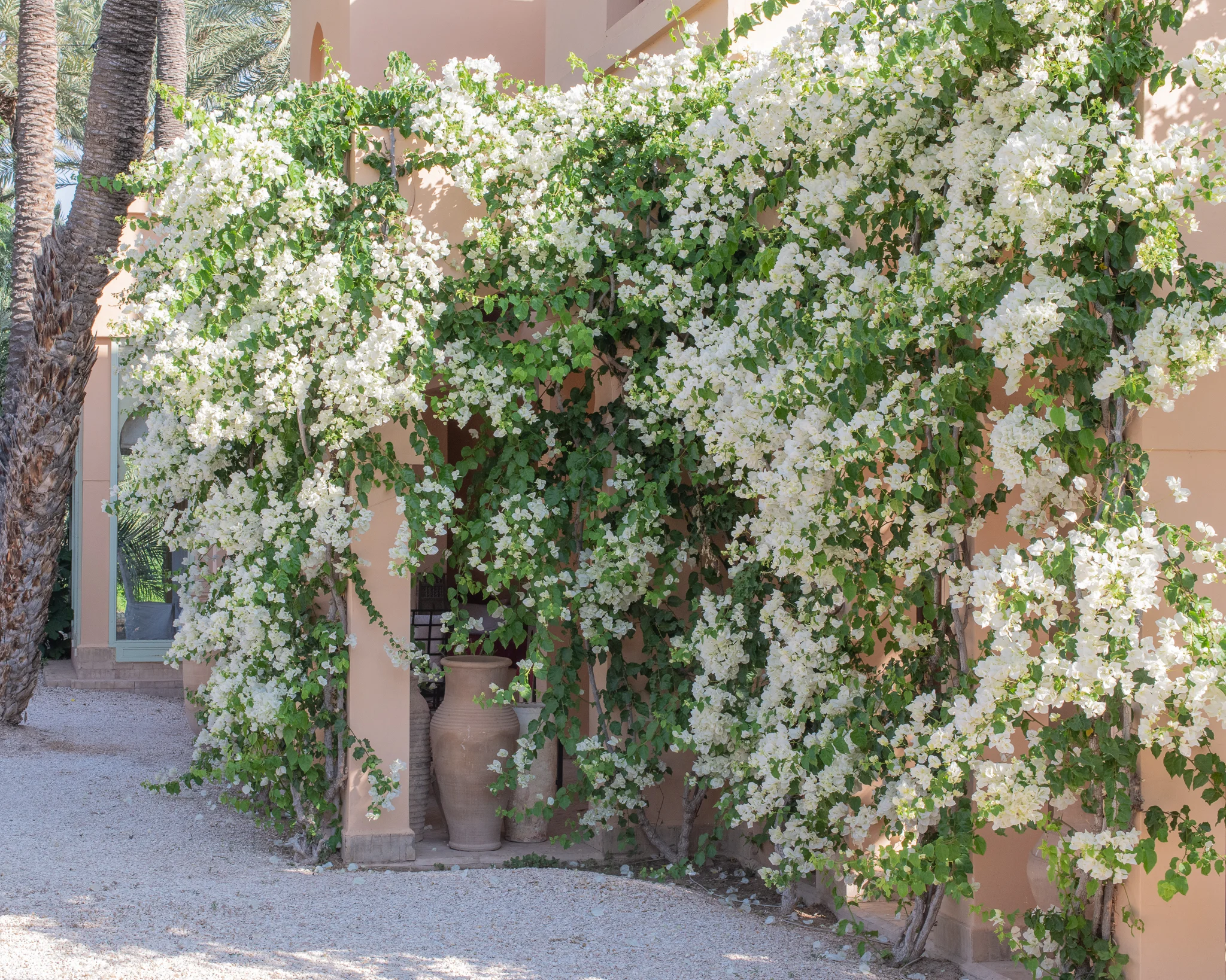 Carey_June 28, 2018_DSC_1444-2.JPG