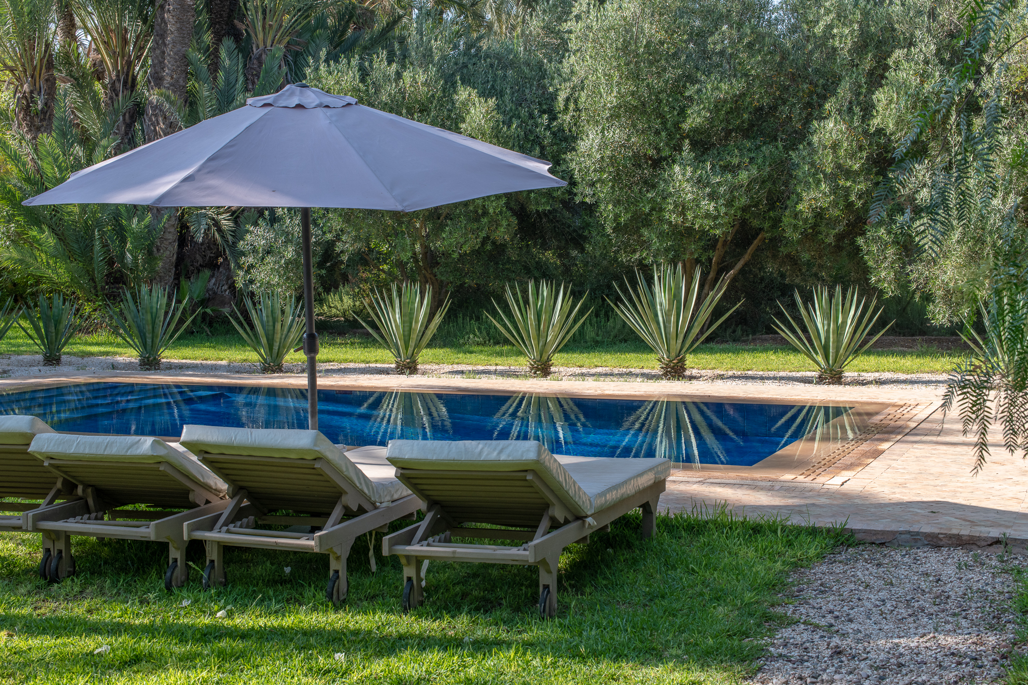 Carey_June 28, 2018_DSC_1438-2.JPG