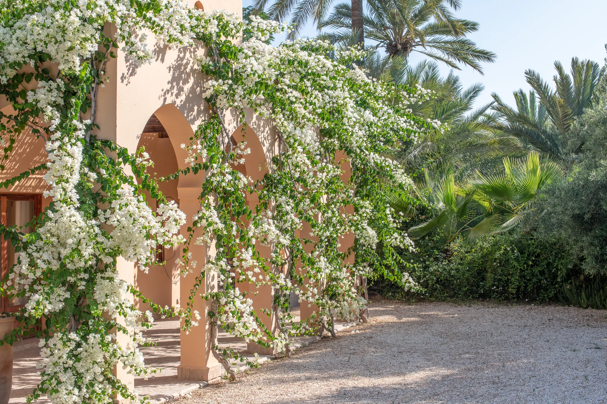 Carey_June 28, 2018_DSC_1443-2.JPG