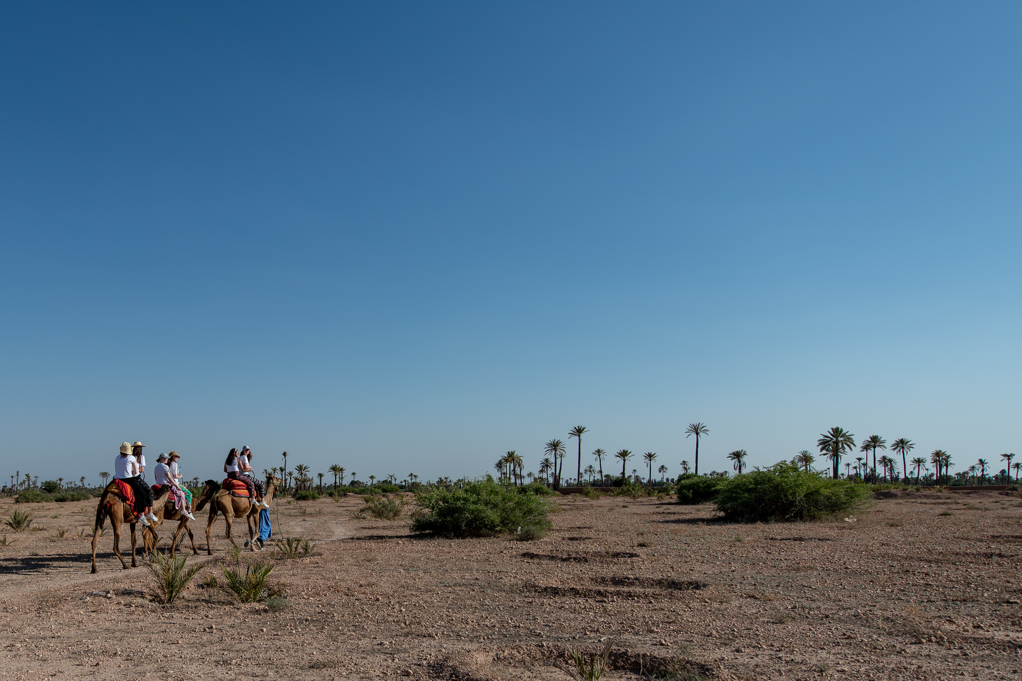 Carey_June 28, 2018_DSC_1488.JPG