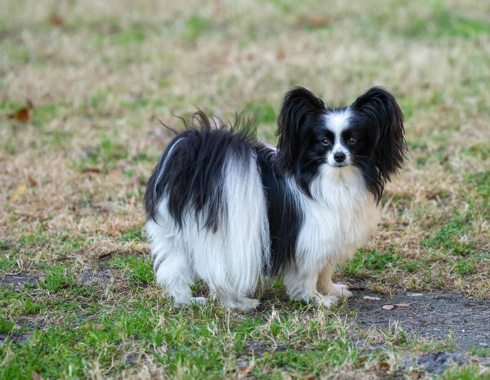 Beaufort Feb 2025-1.jpg